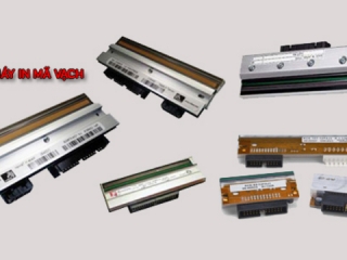 Đầu in mã vạch là gì và khi nào cần thay mới đầu in mã vạch?