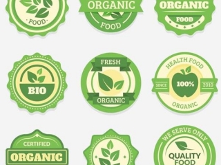 Khám phá ngay cơ sở in gia công tem nhãn mã vạch chất lượng tốt nhất miền Nam